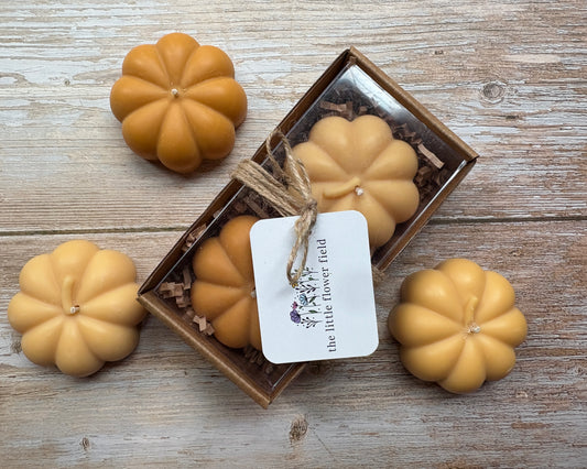 Fall Pumpkin Candles Gift Set