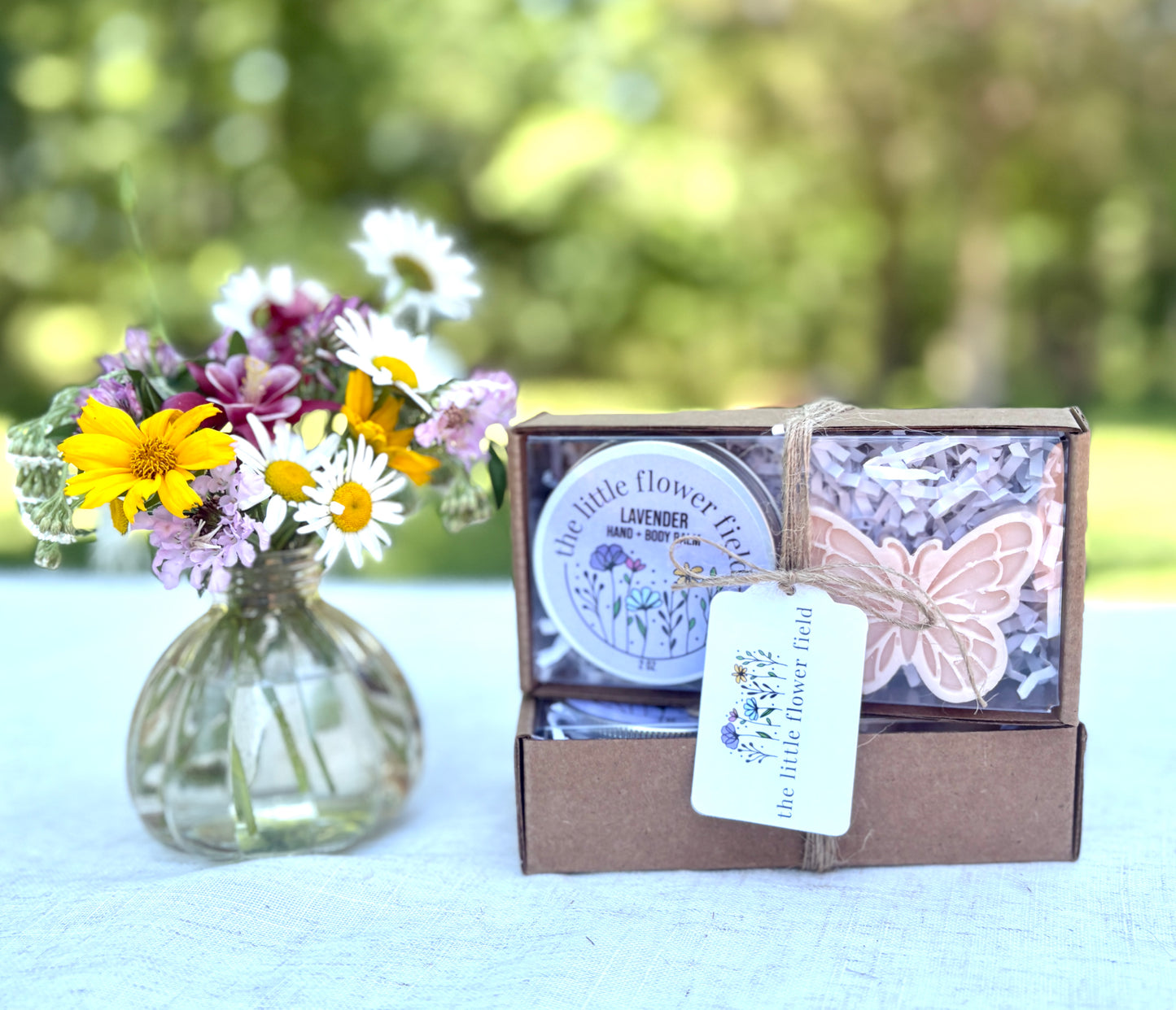 Butterfly Garden Gift Set