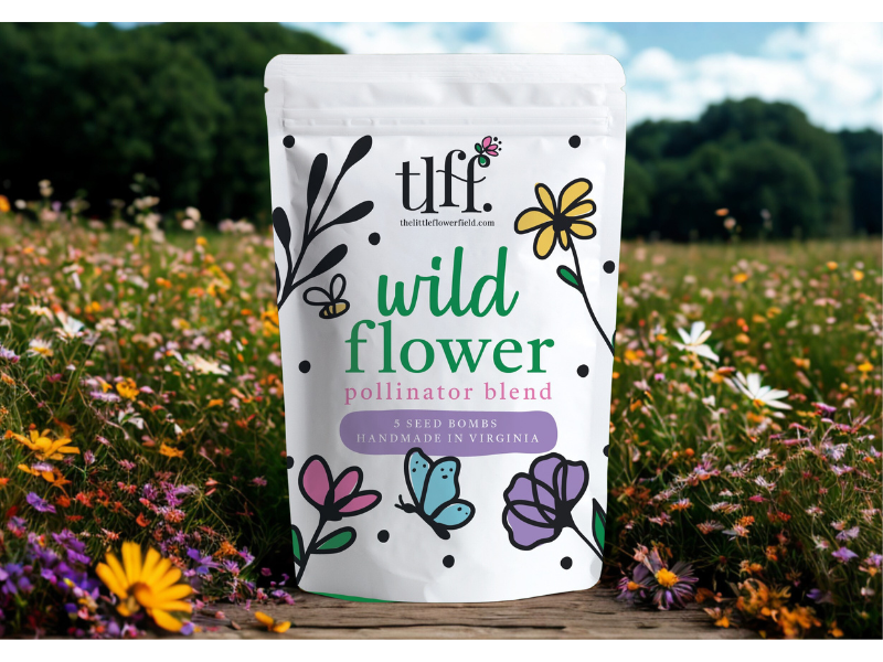Wildflower Seed Bombs